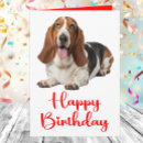 Search for funny dog birthday cards Pet lover