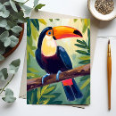 Search for brazil toucan postcards Colourful