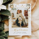 Search for script vertical photocards Merry christmas