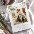 Search for festivity photocards Holiday photocard