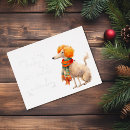 Recherche de caniche français cartes postales Drôle