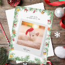 Search for funny pet christmas cards Nice list