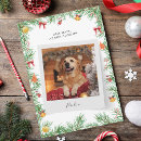Search for pet christmas cards Dog photo
