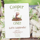 Search for worm birthday invitations For kids