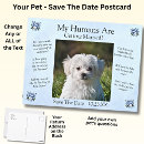 Search for humanity horizontal postcards Floral