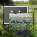 Search for lilly buttons Pond