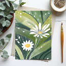 Search for spring daisy postcards Flowers