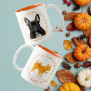 Search for frenchs mugs For pets