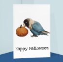 Recherche de dessin citrouille cartes postales Oiseau