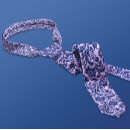 Search for lavender floral ties Pattern