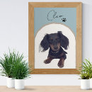 Search for pet portraits Simple