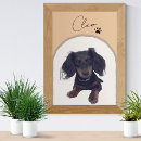 Search for pet portraits Modern