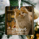 Search for photographer ornaments Create your own