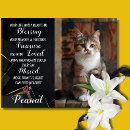 Search for cat pet sympathy cards Rainbow bridge