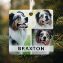 Search for third pet supplies Keepsake