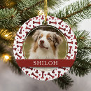 Search for dog bone ornaments Create your own