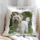 Search for dog name pillows Pet lover