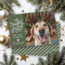 Search for naughty dog cards Nice list