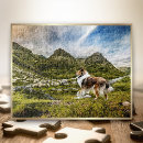 Recherche de chien blanc puzzles Animal