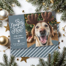Search for funny pet photo christmas cards Nice list