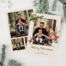 Search for mushroom christmas cards Whimsical