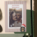 Search for dog puns holiday cards Dachshund through the snow