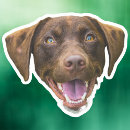 Recherche de bagage labels Amoureux de les chiens