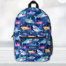 Recherche de requins sacs Boy