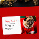 Search for dog labels Festive