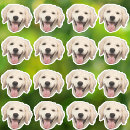 Recherche de chien cadeau emballages Pour animaux