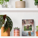 Recherche de salutation animaux articles Empreintes de pattes
