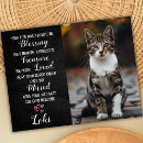 Search for cat pet sympathy cards Rainbow bridge
