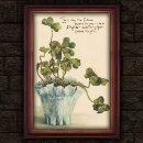 Recherche de verts de shamrock art Plante