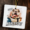 Search for grunge ornaments Create your own