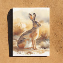 Search for jackrabbit Wildlife