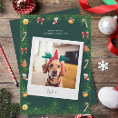 Search for pet christmas cards Mistletoe