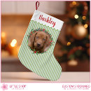 Search for dog christmas stockings Pet photo