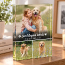 Search for dog photo display Remembrance