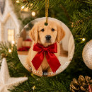 Search for retriever ornaments Dog's first christmas
