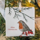 Search for robin ornaments Red berries
