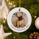 Search for bulldog ornaments Frenchie