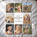 Search for christmas dog blankets Create your own