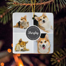 Search for dog loss quote In loving memory