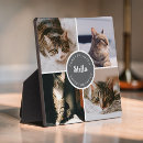 Search for christmas pet portraits Sympathy