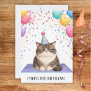 Search for fat cat cards Humour