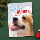 Search for photograph christmas cards Typography