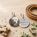 Search for photo pet tags Create your own
