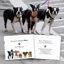 Search for dog walking flyers Professional dog walker