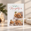 Search for puppy christmas cards Cute dog christmas
