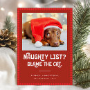 Search for dog cat christmas cards Pet christmas photo